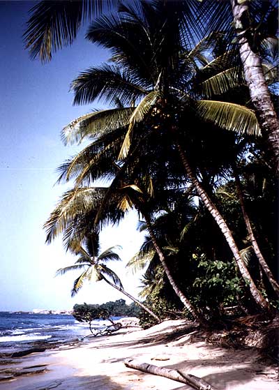 Strand